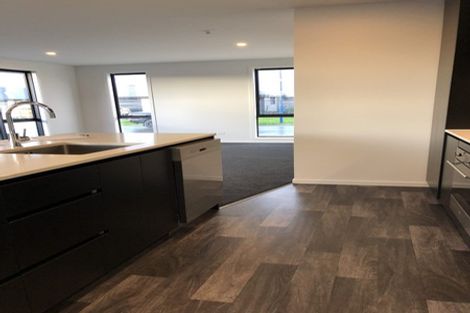 Photo of property in 13 Helicon Street, Pegasus, 7612