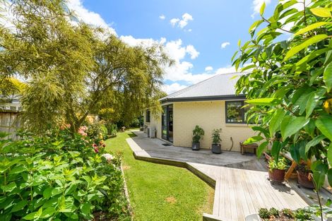 Photo of property in 37b North Street, Feilding, 4702