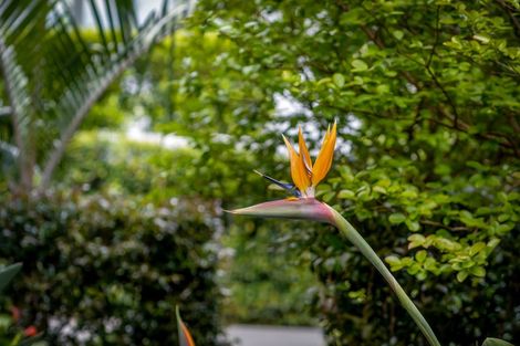 Photo of property in 48a Amorino Drive, Red Beach, 0932