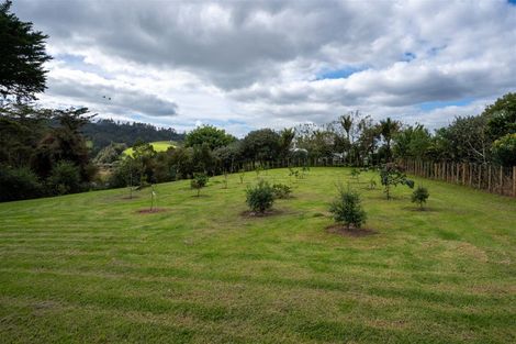 Photo of property in 59 Waikare Road, Kawakawa, 0282