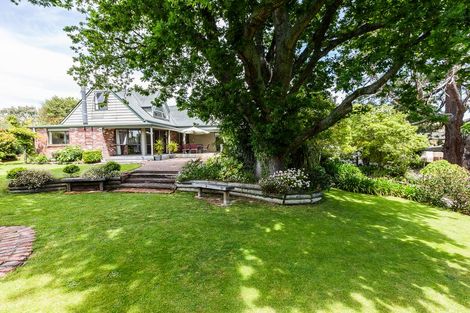 Photo of property in 570 Featherston Street, Roslyn, Palmerston North, 4414