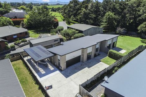 Photo of property in 8 Allendale Place, Morrinsville, 3300