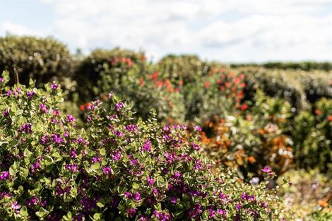 Photo of property in 14 Nga Parae Road, Oropi, Tauranga, 3173