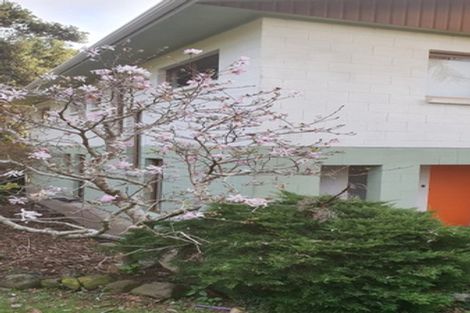 Photo of property in 6 Springfield Avenue, Ngarimu Bay, Thames, 3575