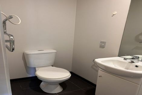 Photo of property in 12/17 Fleet Street, Eden Terrace, Auckland, 1021