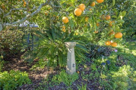 Photo of property in 107 Fourth Avenue, Tauranga, 3110