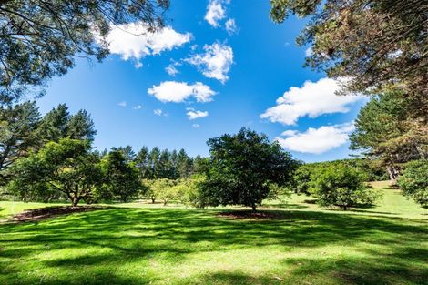 Photo of property in 168 Youngson Road, Whakamarama, Tauranga, 3179