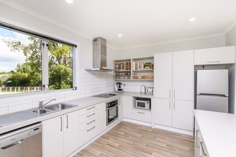 Photo of property in 8 Teal Avenue, Feilding, 4775