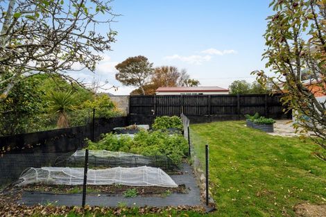 Photo of property in 43 Duckworth Street, Andersons Bay, Dunedin, 9013