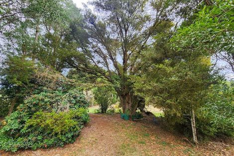 Photo of property in 600 Nelson Creek Road, Nelson Creek, Dobson, 7872