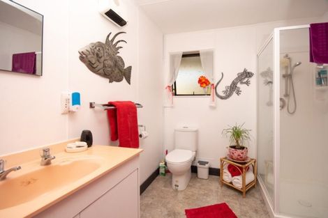 Photo of property in 29 Morrington Terrace, Witherlea, Blenheim, 7201