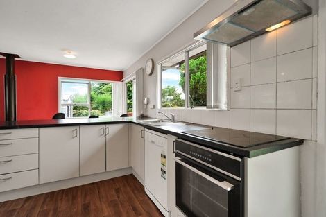 Photo of property in 1/20 Mile Place, Henderson, Auckland, 0612