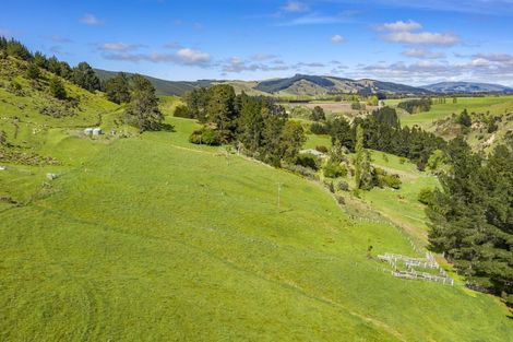 Photo of property in 1228 Greta Road, Greta Valley, 7387