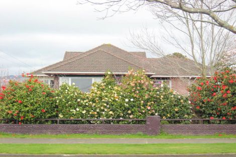 Photo of property in 134 Weraroa Road, Levin, 5510