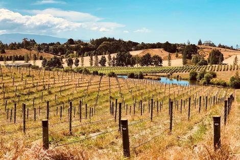 Photo of property in 49 Aranui Road, Mapua, 7005