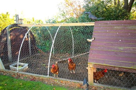 Photo of property in 177 Eden Street, Oamaru, 9400