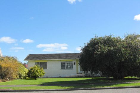 Photo of property in 36 Perth Street, Levin, 5510