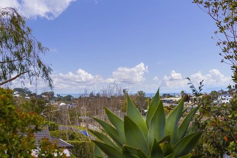 Photo of property in 30 Albatross Road, Red Beach, 0932