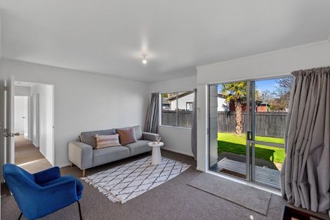 Photo of property in 12b Solomon Street, Brookfield, Tauranga, 3110