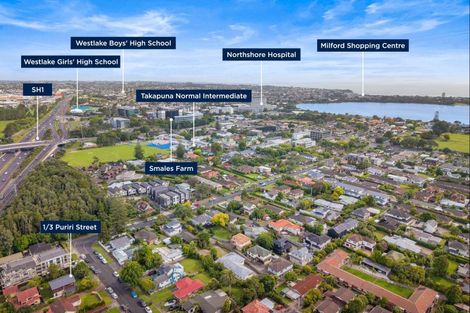 Photo of property in 1/3 Puriri Street, Takapuna, Auckland, 0622