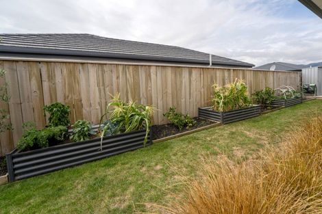 Photo of property in 45 Midlane Crescent, Appleby, Richmond, 7020