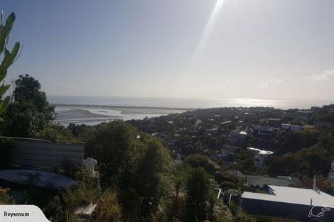 Photo of property in 149a Major Hornbrook Road, Mount Pleasant, Christchurch, 8081