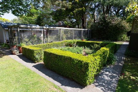 Photo of property in 34 Ruahine Street, Dannevirke, 4930