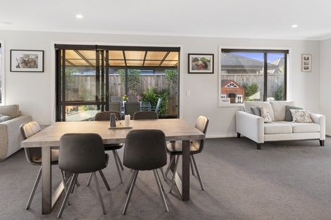 Photo of property in 17 Malone Crescent, Richmond, 7020