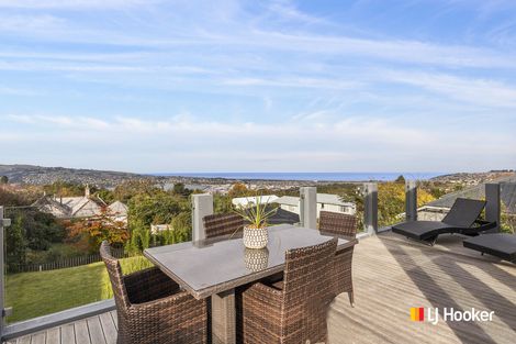 Photo of property in 20 Hart Street, Belleknowes, Dunedin, 9011