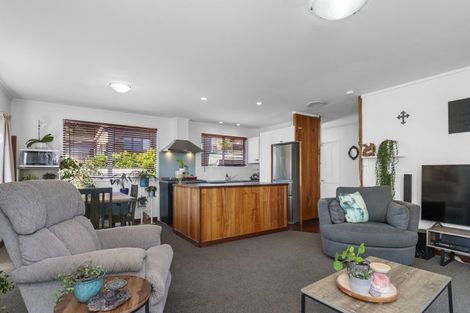 Photo of property in 24b Wylie Street, Gate Pa, Tauranga, 3112
