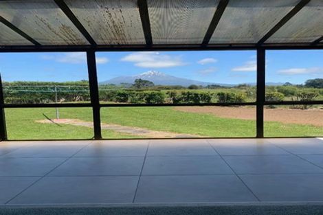 Photo of property in 8 Denmark Terrace, Midhirst, Stratford, 4394