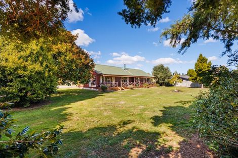 Photo of property in 123 Wyndham Street, Ashhurst, 4810