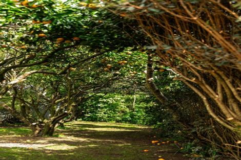 Photo of property in 324 Youngson Road, Whakamarama, Tauranga, 3179