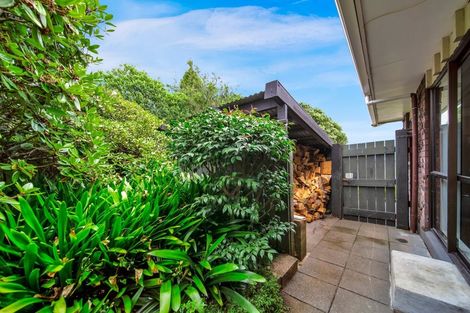 Photo of property in 19 John Guthrie Place, Merrilands, New Plymouth, 4312