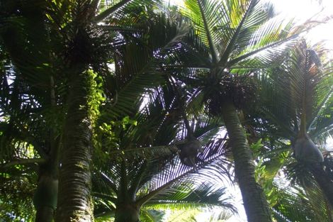 Photo of property in 61 Glasseye Drive, Little Wanganui, Karamea, 7893