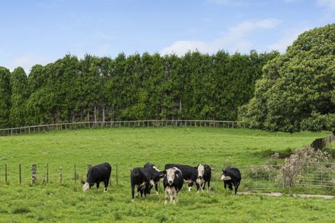 Photo of property in 579 Belk Road, Omanawa, Tauranga, 3171