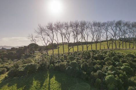 Photo of property in 404a Lees Road, Hahei, Whitianga, 3591