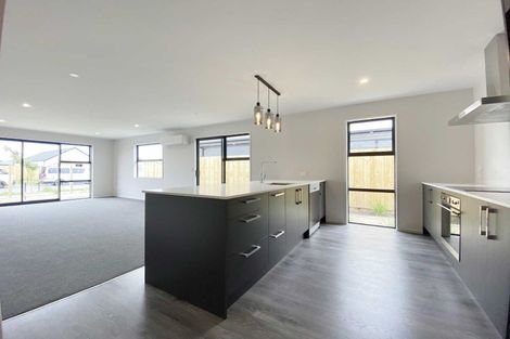 Photo of property in 4 Sedge Street, Belfast, Christchurch, 8051