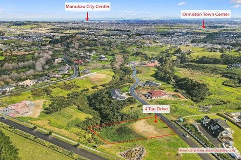 Photo of property in 4 Tau Drive, Flat Bush, Auckland, 2019