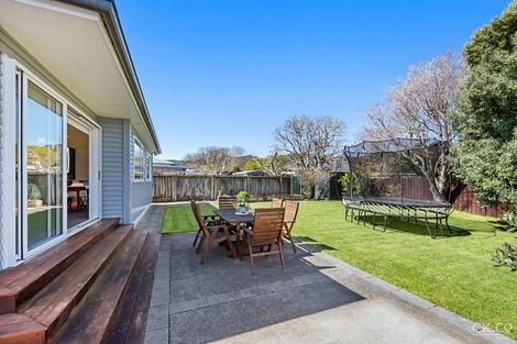 Photo of property in 36 Lincoln Avenue, Epuni, Lower Hutt, 5011