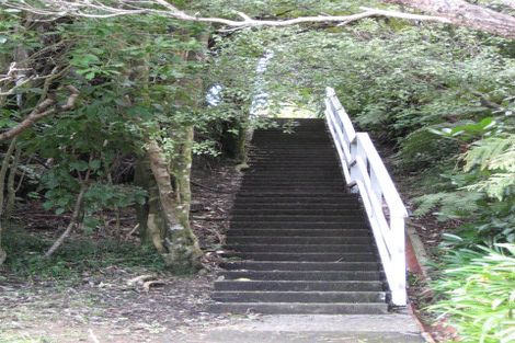 Photo of property in 93 Donald Street, Karori, Wellington, 6012