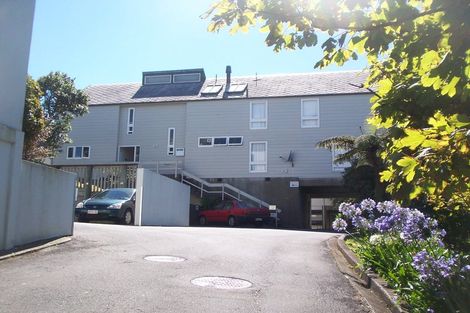 Photo of property in 113 Coromandel Street, Newtown, Wellington, 6021