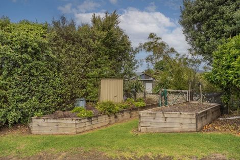 Photo of property in 937 Purangi Road, Cooks Beach, Whitianga, 3591