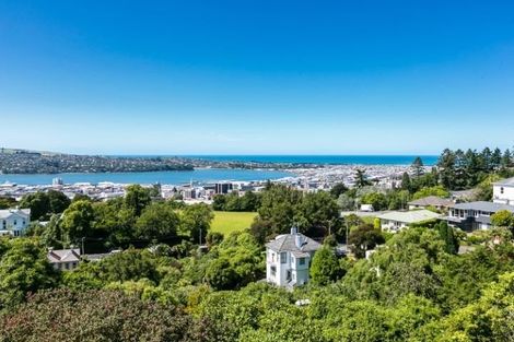 Photo of property in 28 Tweed Street, Roslyn, Dunedin, 9010