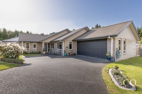 Photo of property in 4 Arthur Grove, Bethlehem, Tauranga, 3110