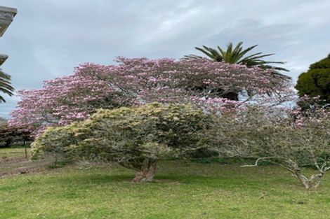 Photo of property in 49 Templer Street, Eltham, 4322