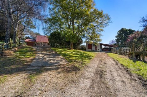 Photo of property in 36 Harrison Road, Tauriko, Tauranga, 3110
