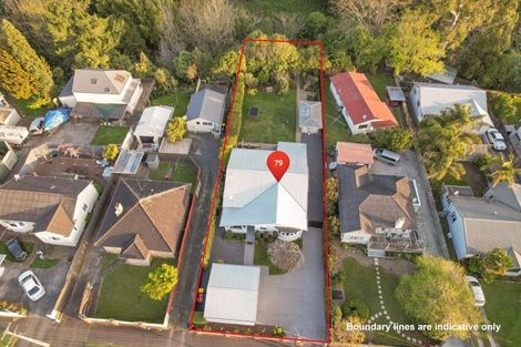 Photo of property in 79 Rimu Street, Maeroa, Hamilton, 3200