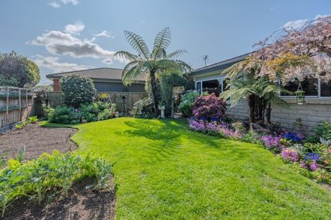 Photo of property in 36 Hyatt Grove, Greenmeadows, Napier, 4112