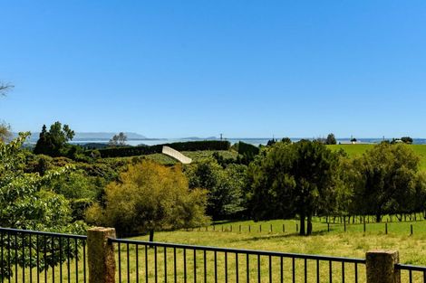 Photo of property in 480a Youngson Road, Whakamarama, 3179